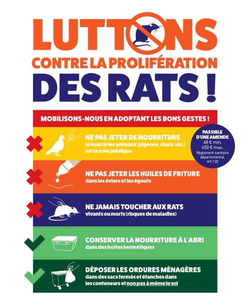 Rats