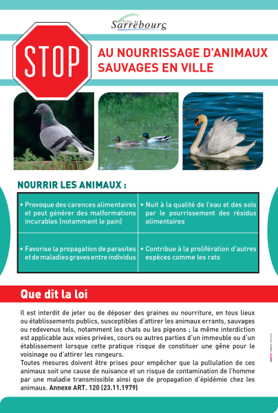 Affiche STOP nourrissage d'animaux