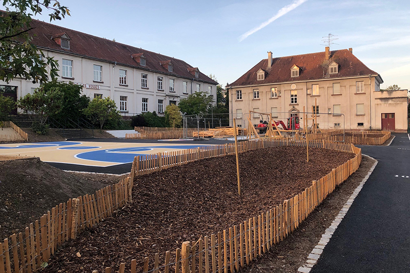 ecole-des-vosges-vegetalisee